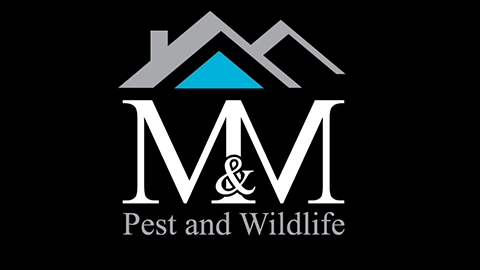   M & M Pest Logo