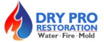 Flood Damage Company  Dry Pro Restoration Logo